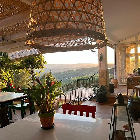 Bed and Breakfast El Nispero Dulce à Alcaucín Extérieur photo